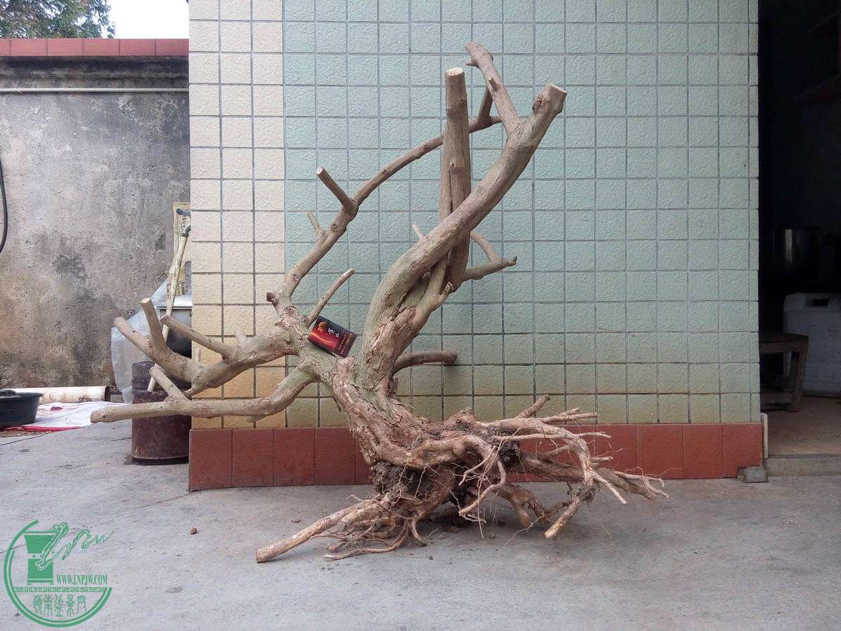 09_С.jpg