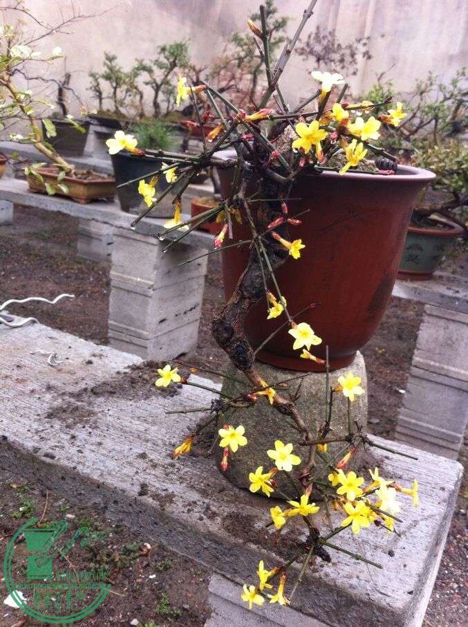QQͼƬ20150215104036.jpg