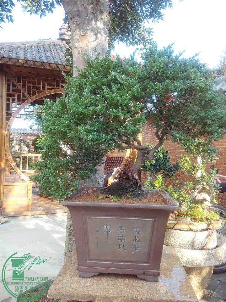 QQͼƬ20150216175656.jpg