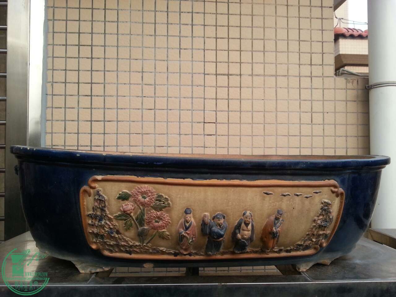 image.jpg