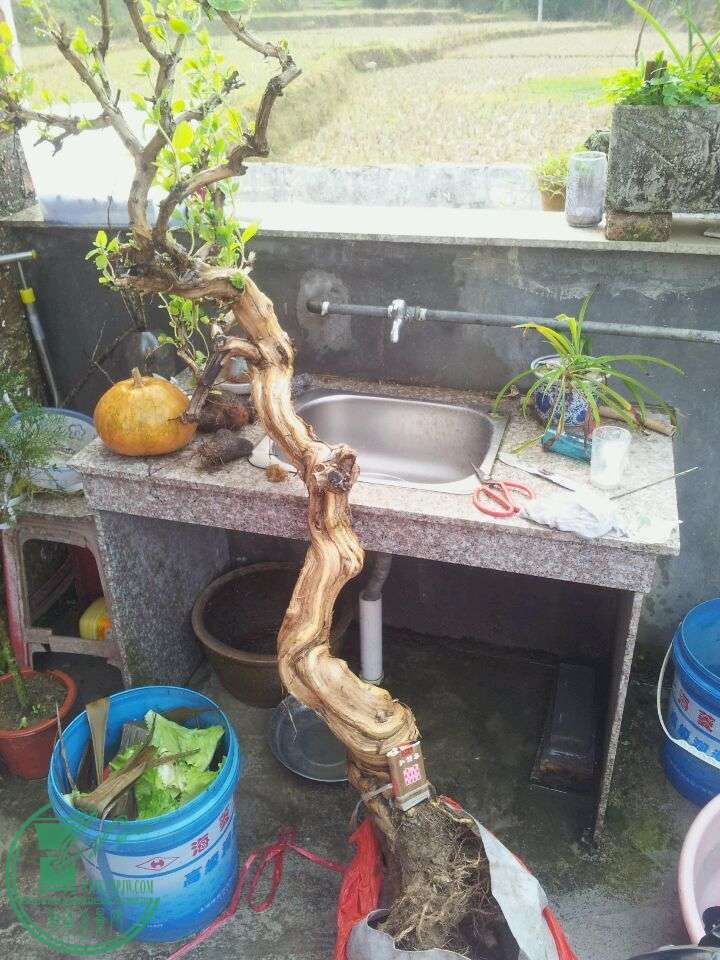 QQͼƬ20150217172735.jpg