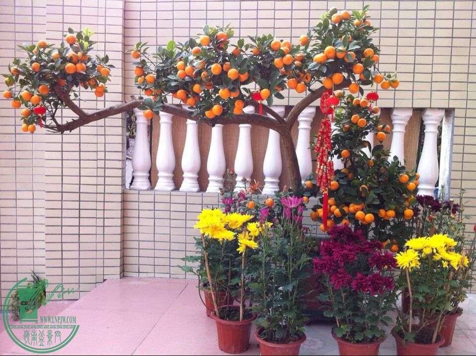 QQͼƬ20150218172209.jpg