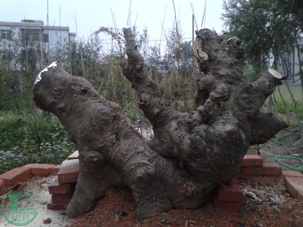 20150215_181718.jpg