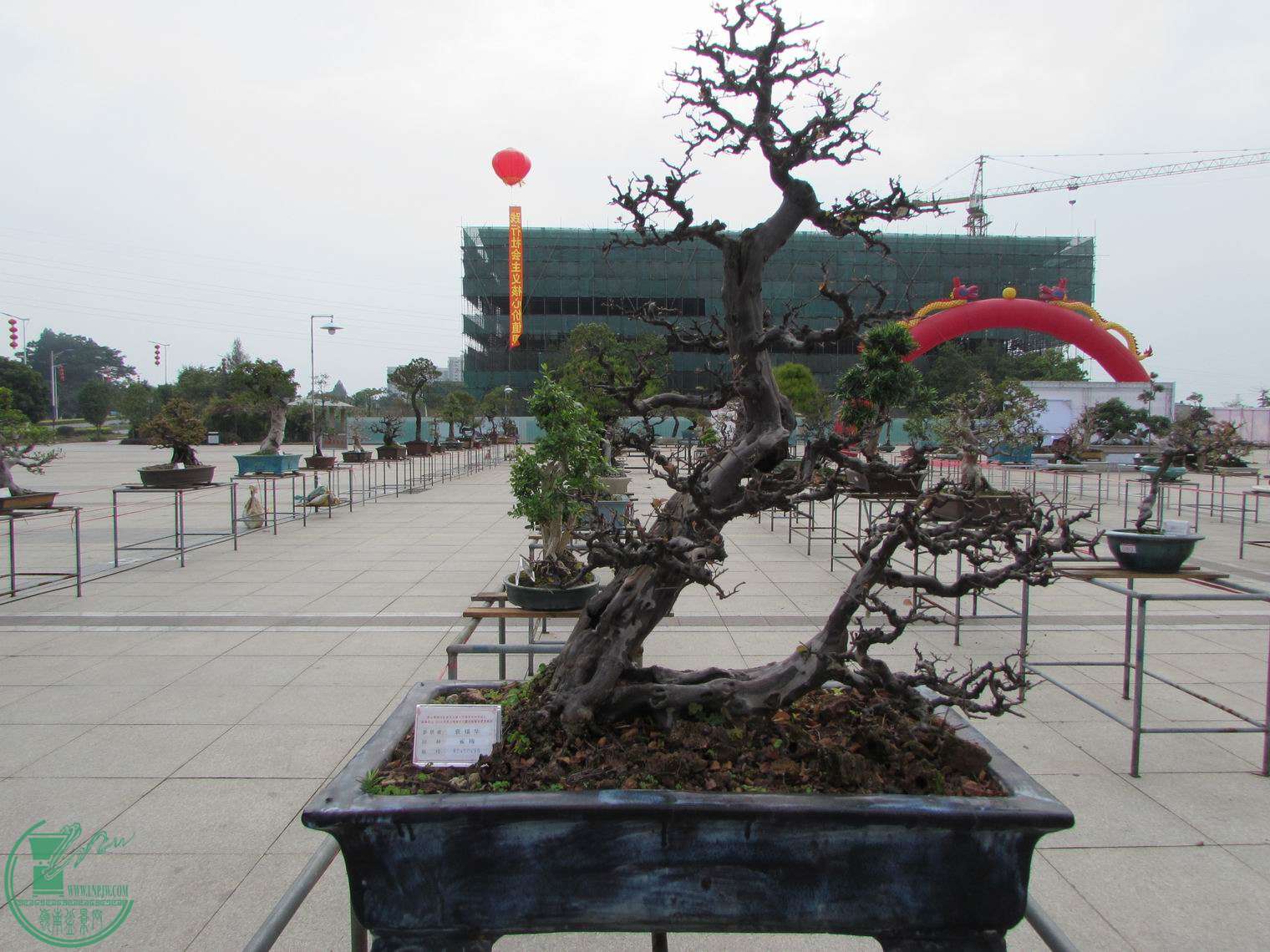 С IMG_0482.JPG