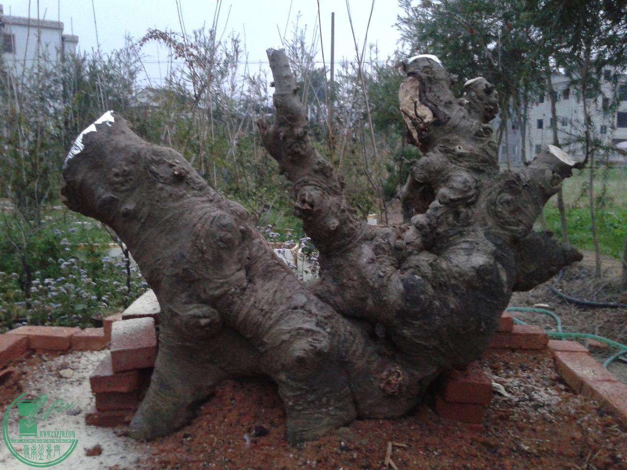 20150215_181704.jpg
