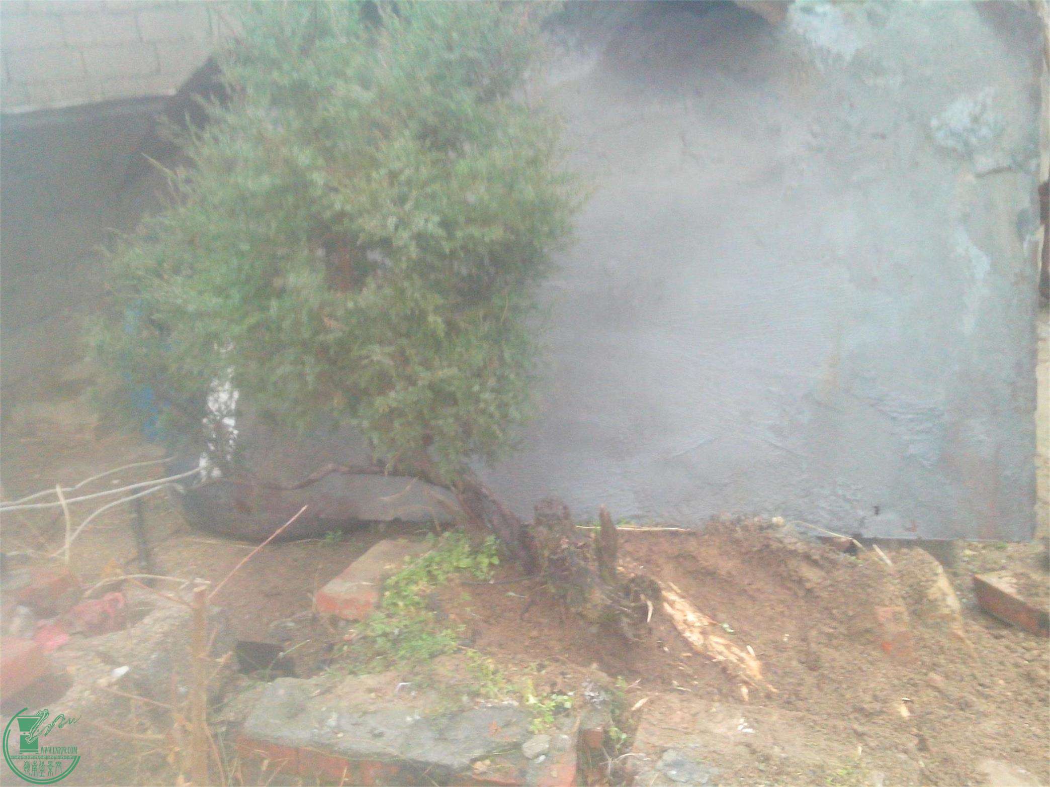 IMG20150220001.jpg