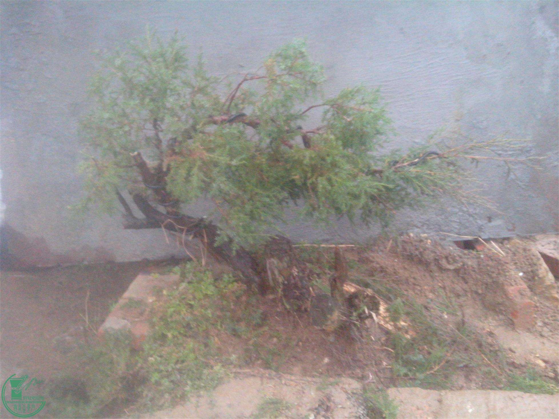 IMG20150220003.jpg