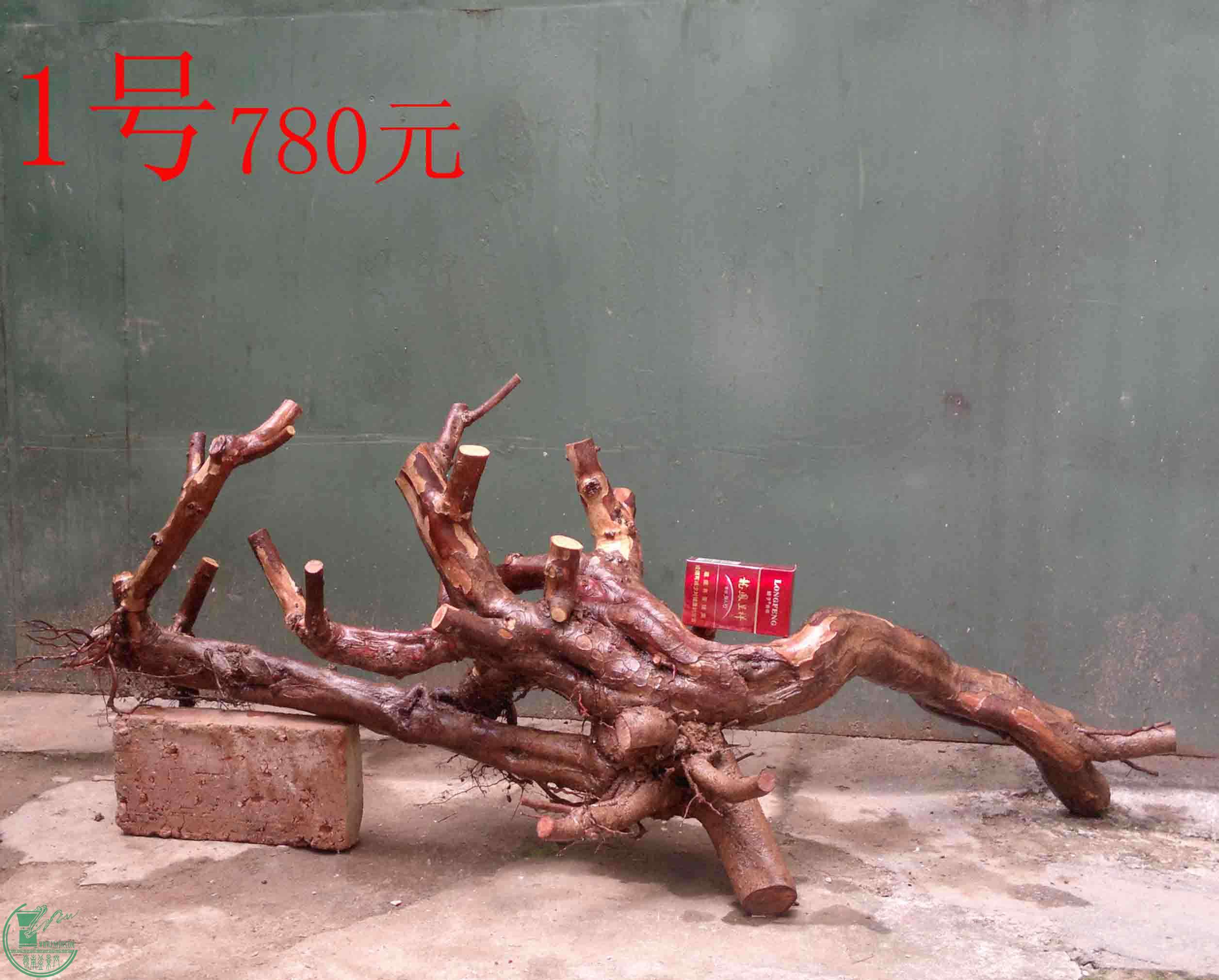 201101262247.jpg