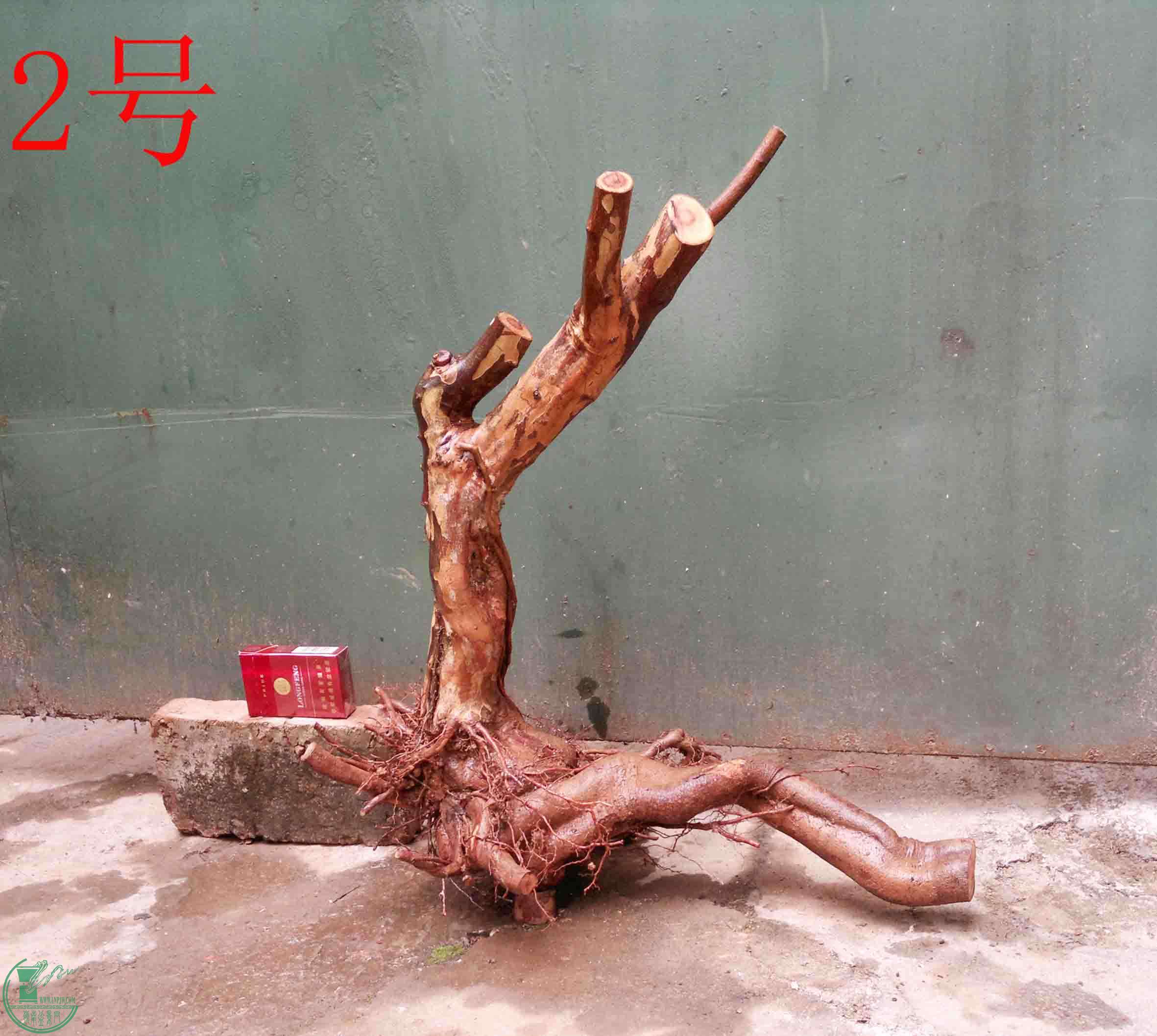 201101262263.jpg