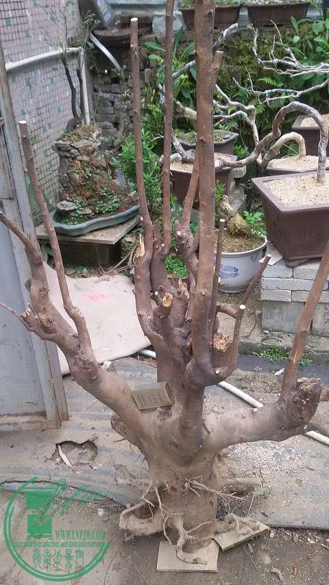 20150222_154901.jpg