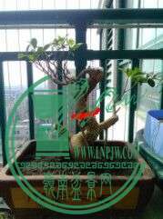 QQͼƬ20150224162010.jpg