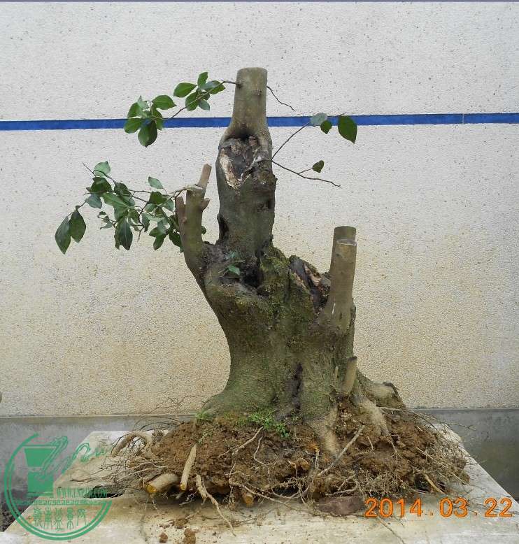 24ĸ׮[3].jpg