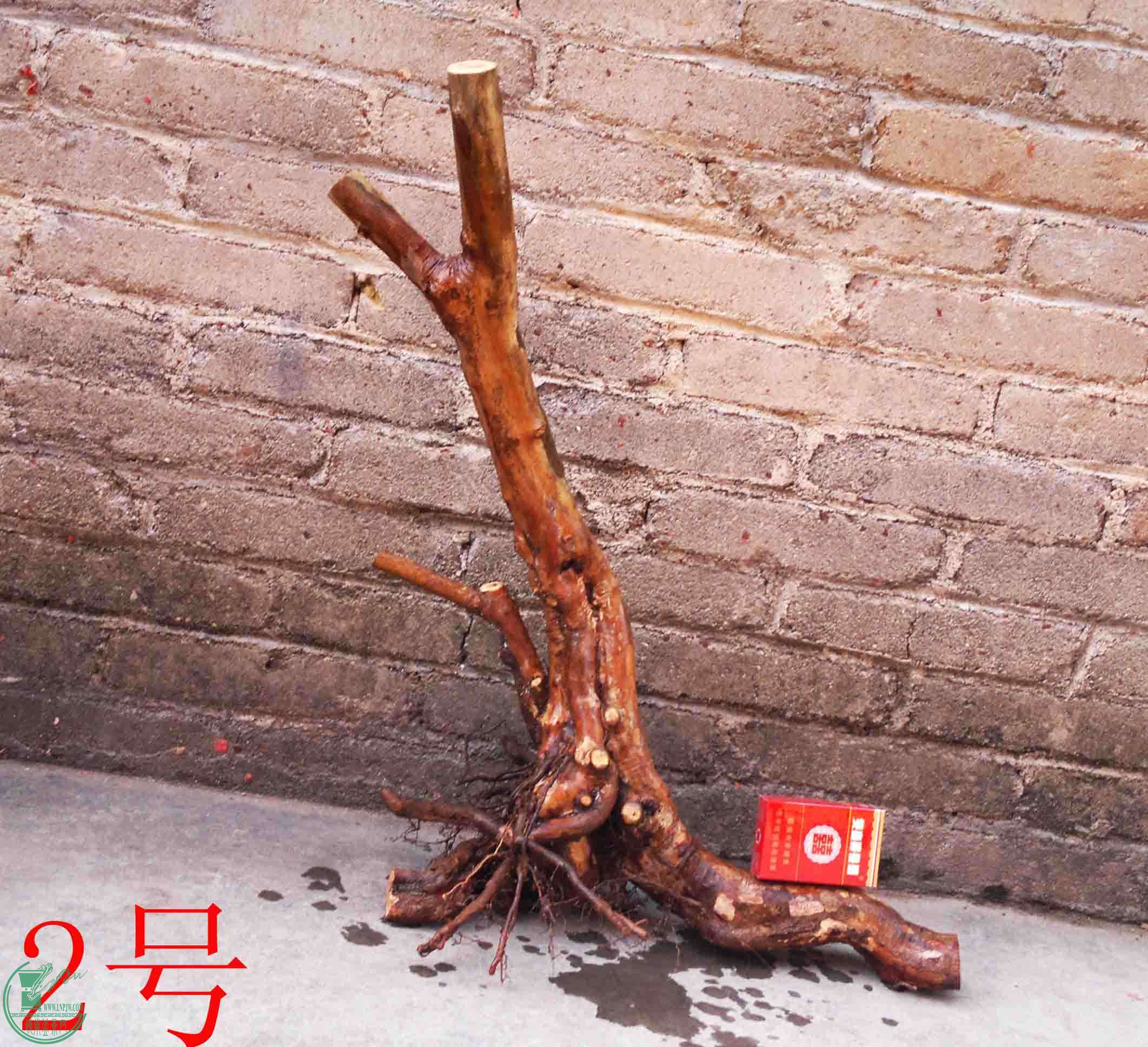 201101292296.jpg