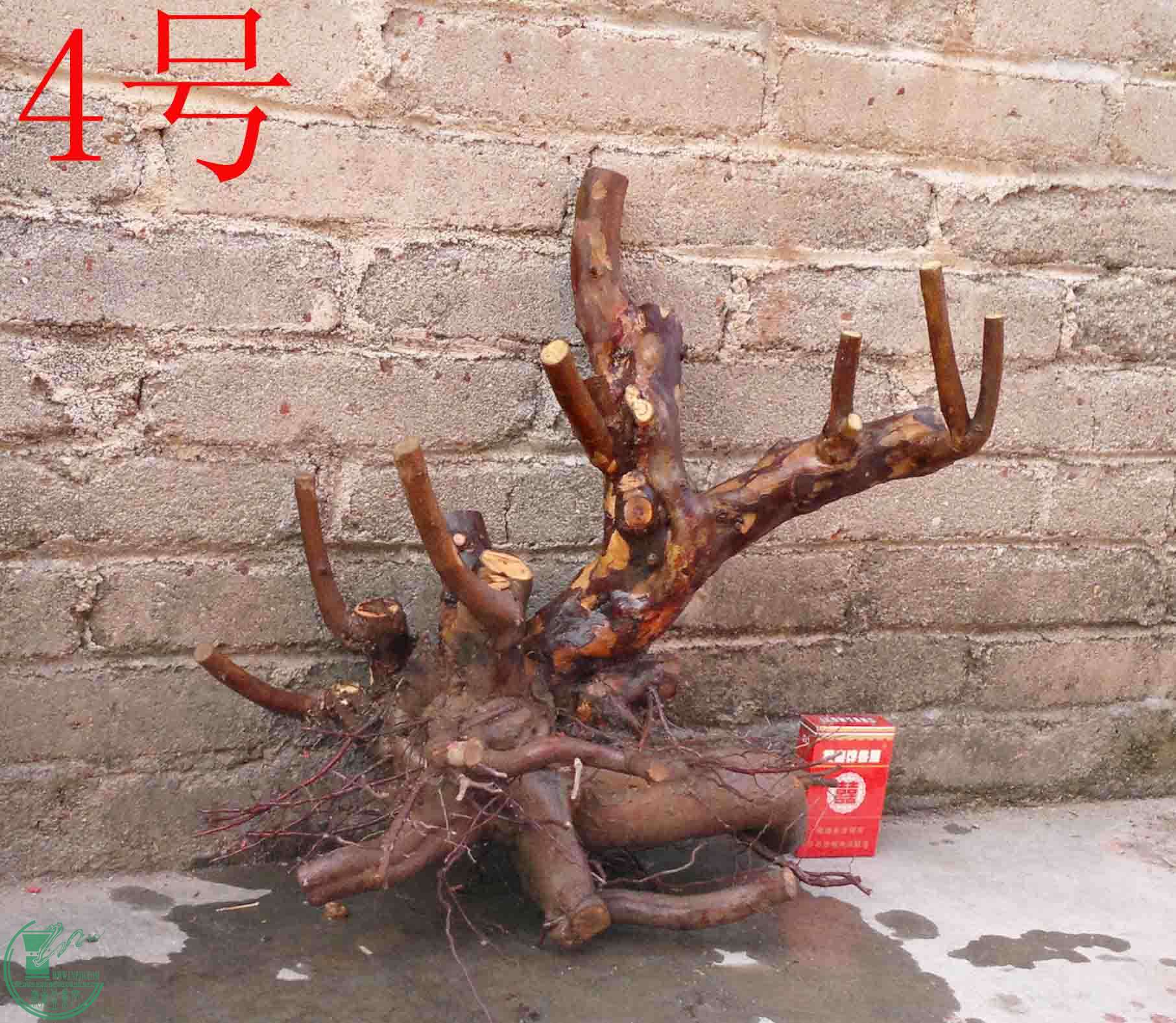 201101292314.jpg