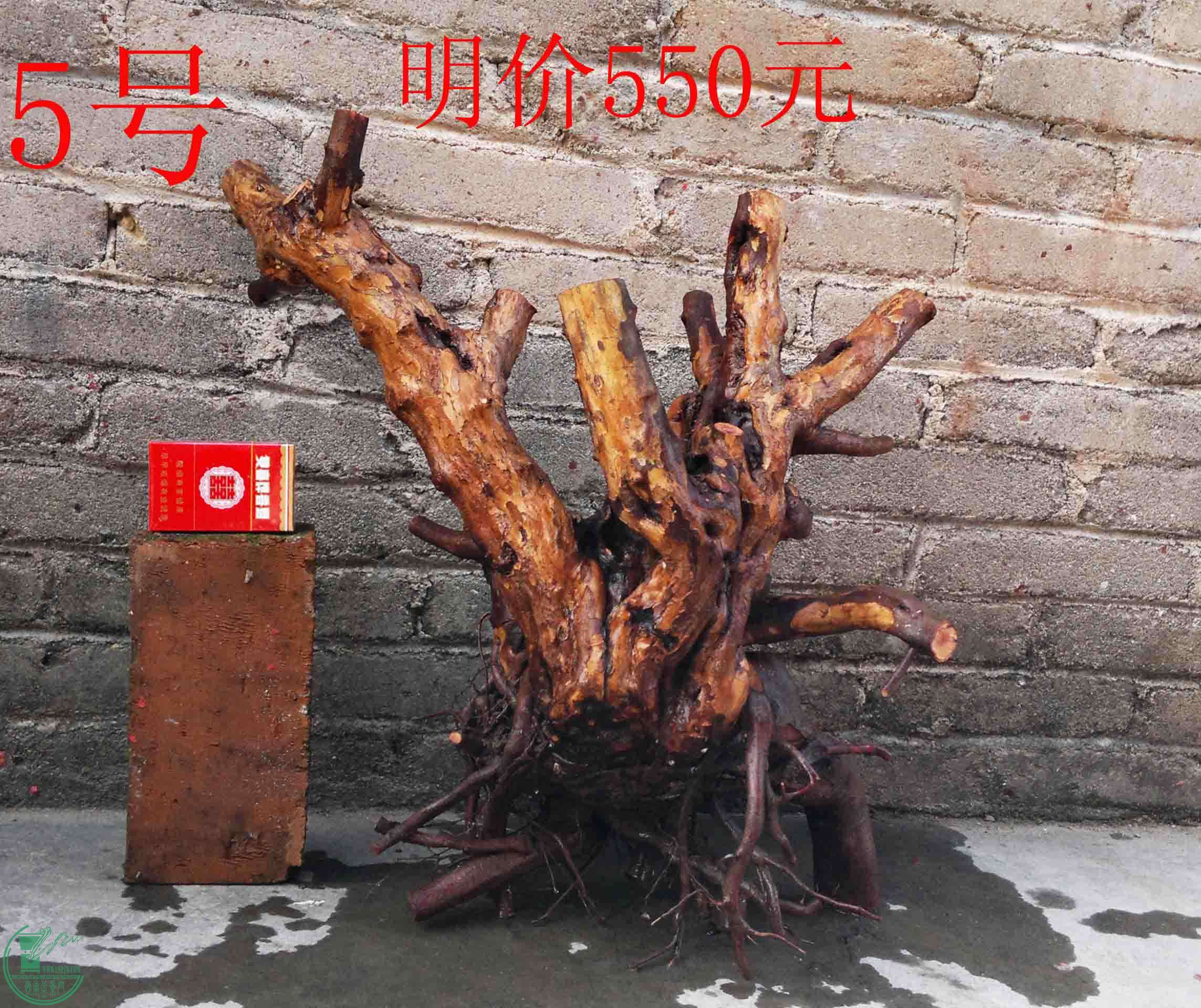 201101292327.jpg