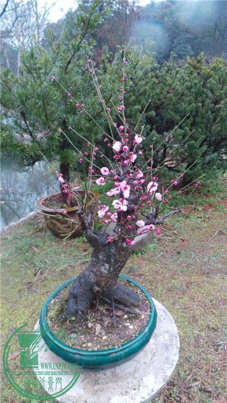 20150220_150200.jpg