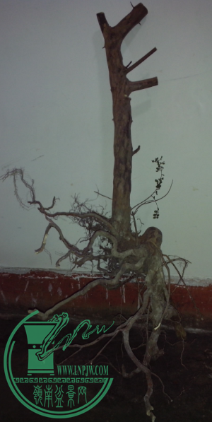 BZ5W]O@[@B2ZSK}WPJ4[1@Q.png