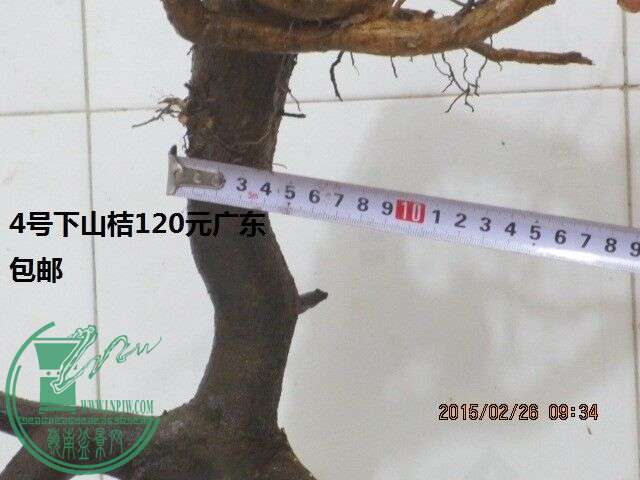 QQͼƬ20150226104230.jpg