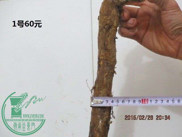 QQͼƬ20150226204254.jpg