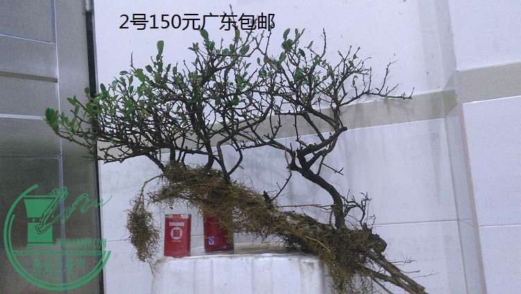 QQͼƬ20150226210357.jpg