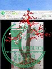 QQͼƬ20150226215154.jpg