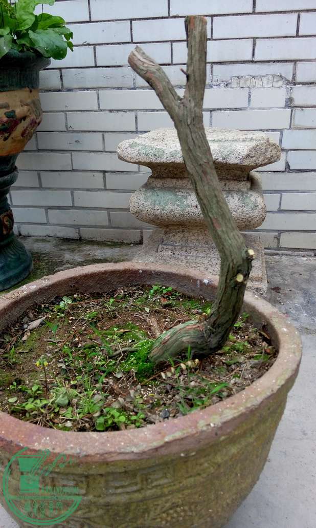 P50226-174741_С.jpg