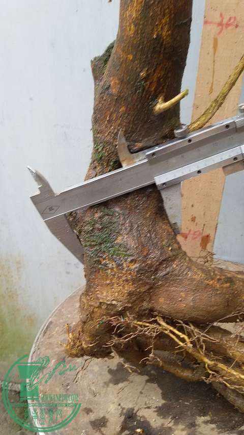 20150226_153945.jpg