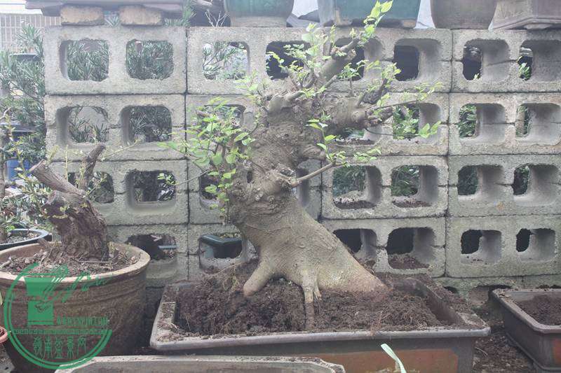 Ƭ20131026ۺ 2652.jpg