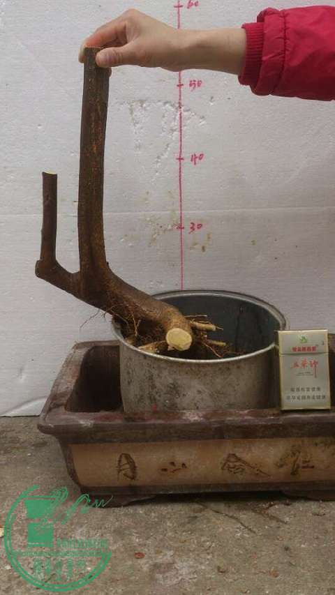 QQͼƬ20150227122430.jpg