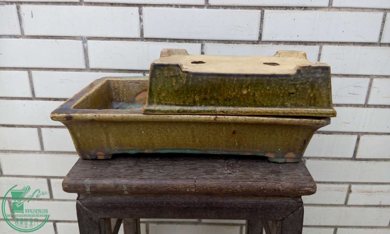 P50225-175450_С.jpg