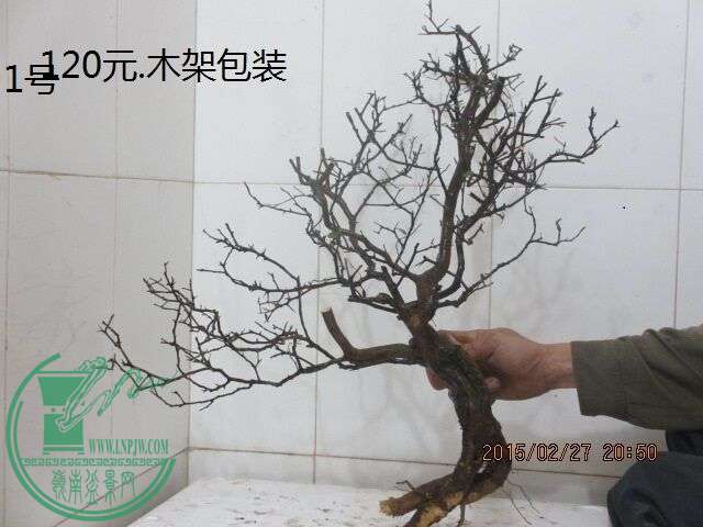 QQͼƬ20150227211913.jpg