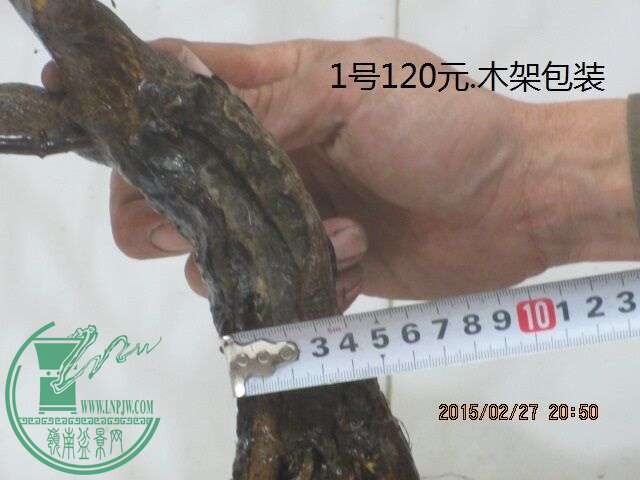 QQͼƬ20150227211920.jpg