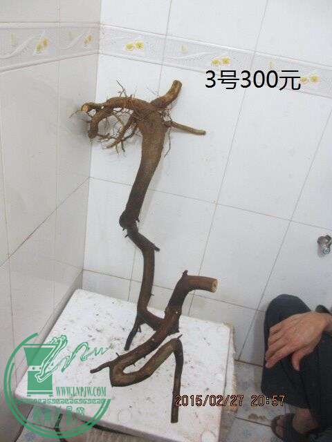 QQͼƬ20150227212113.jpg