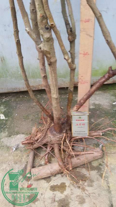 20150228_161048.jpg