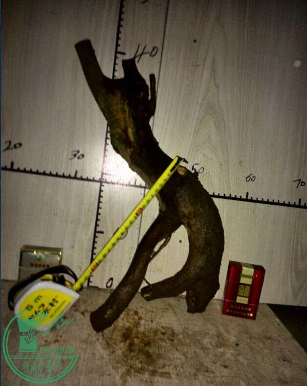 QQͼƬ20150228192843.jpg