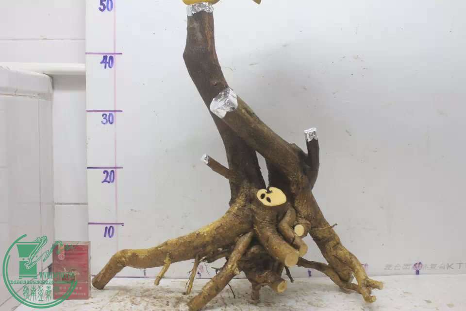 psb (1).jpg