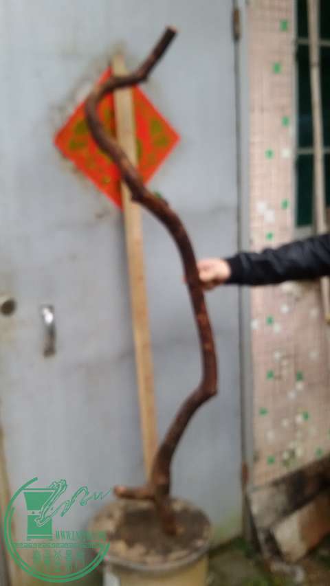 20150301_150324.jpg