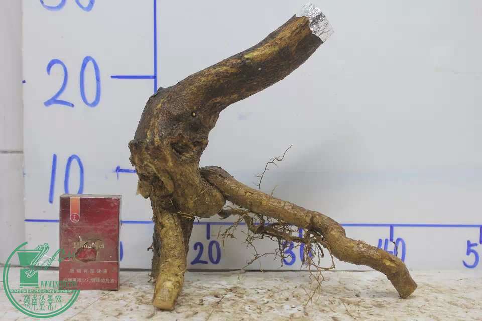 psb (8).jpg