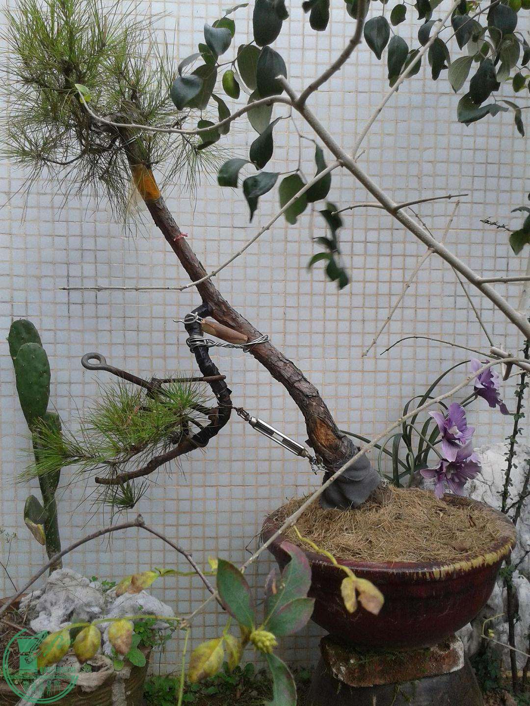 ½ļ (3)20150226_164759.jpg