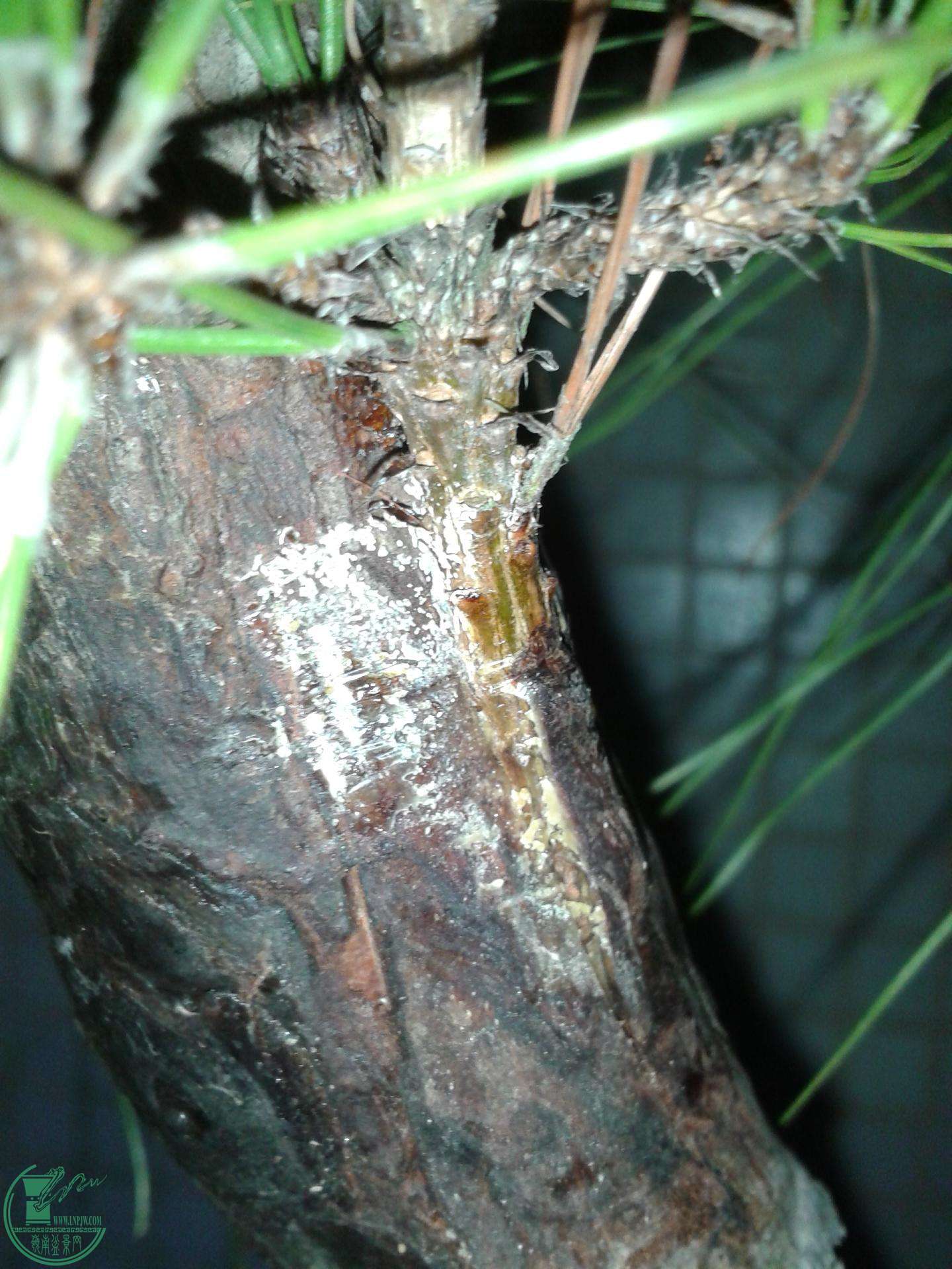 ½ļ (3)20150226_211930.jpg