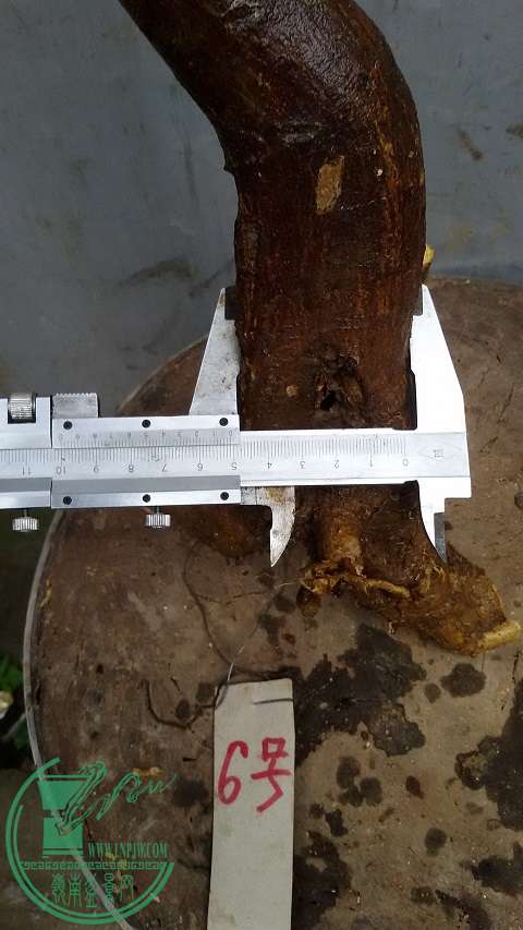20150302_164346.jpg