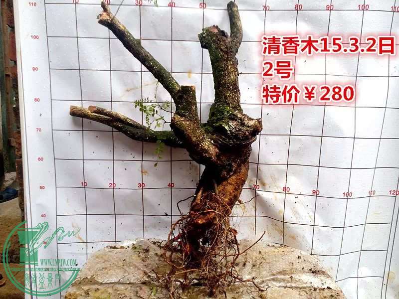psb (9).jpg