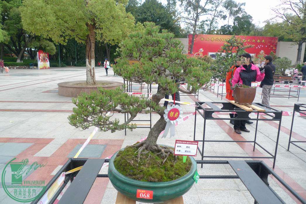 С P1250787.JPG