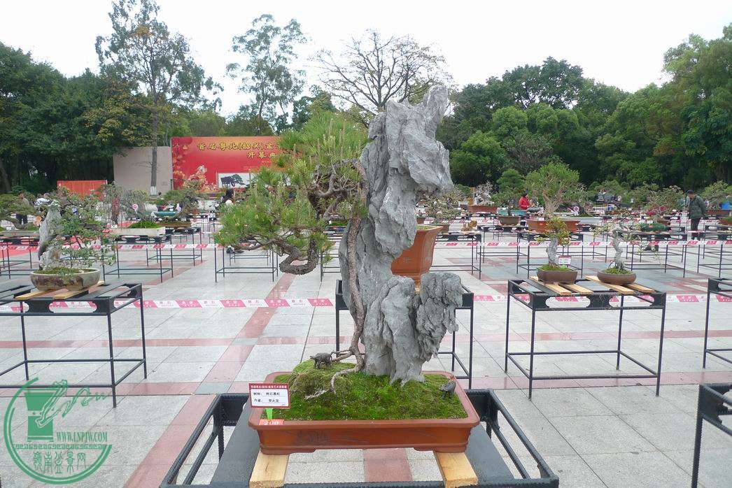С P1250788.JPG