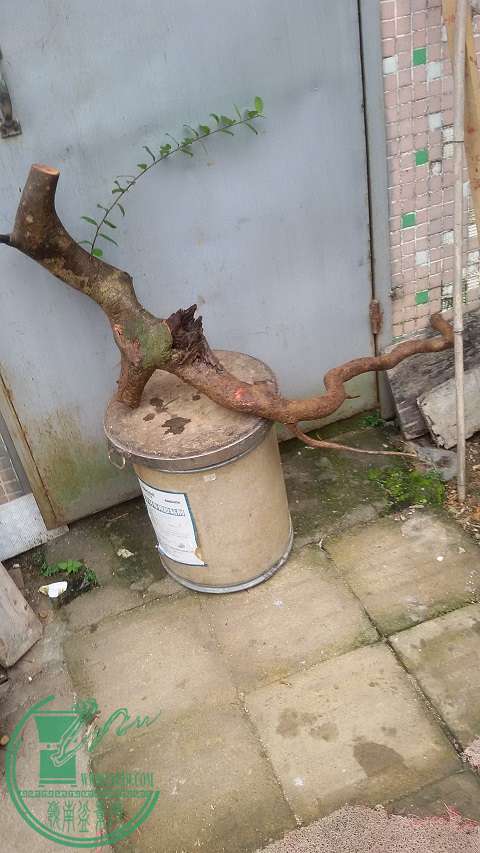 20150303_152245.jpg