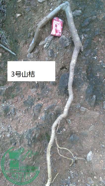 QQͼƬ20150303201610.jpg