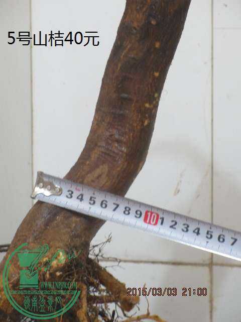 IMG_5645.JPG