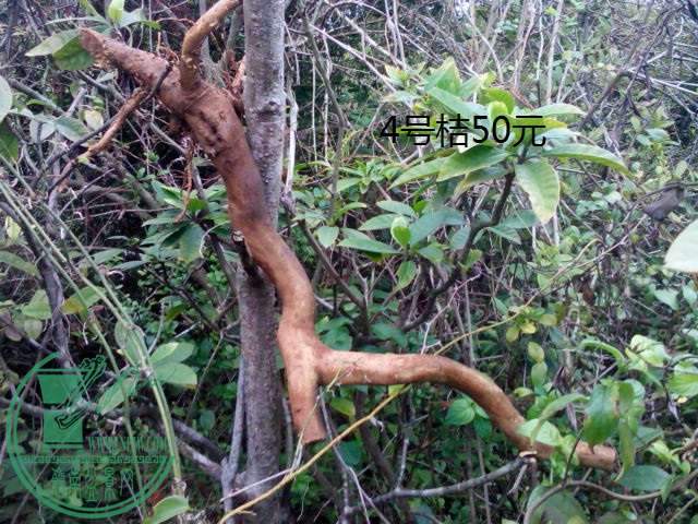 IMG20150303172242.jpg