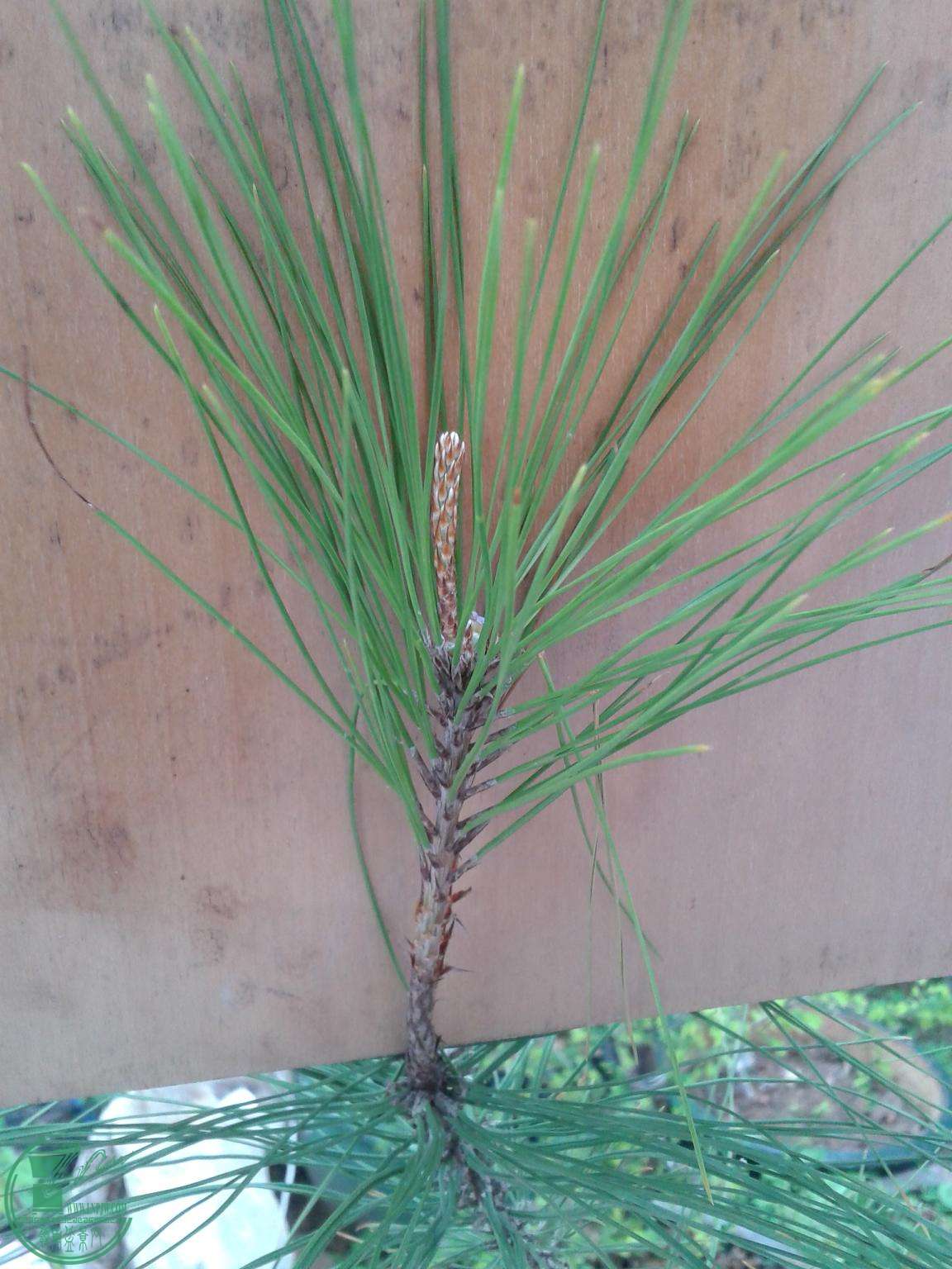 20150304_095205.jpg
