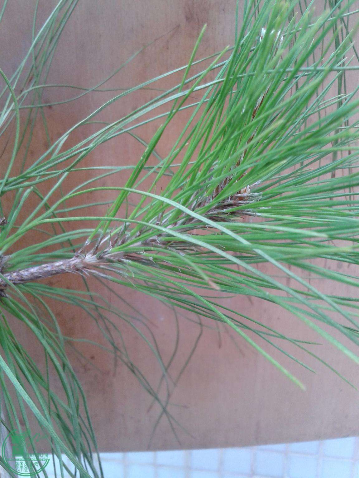 20150304_095244.jpg